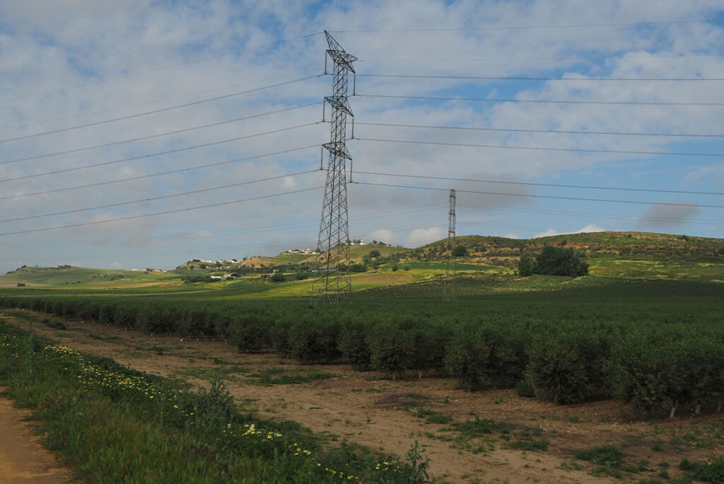 Los Alcores Greenway