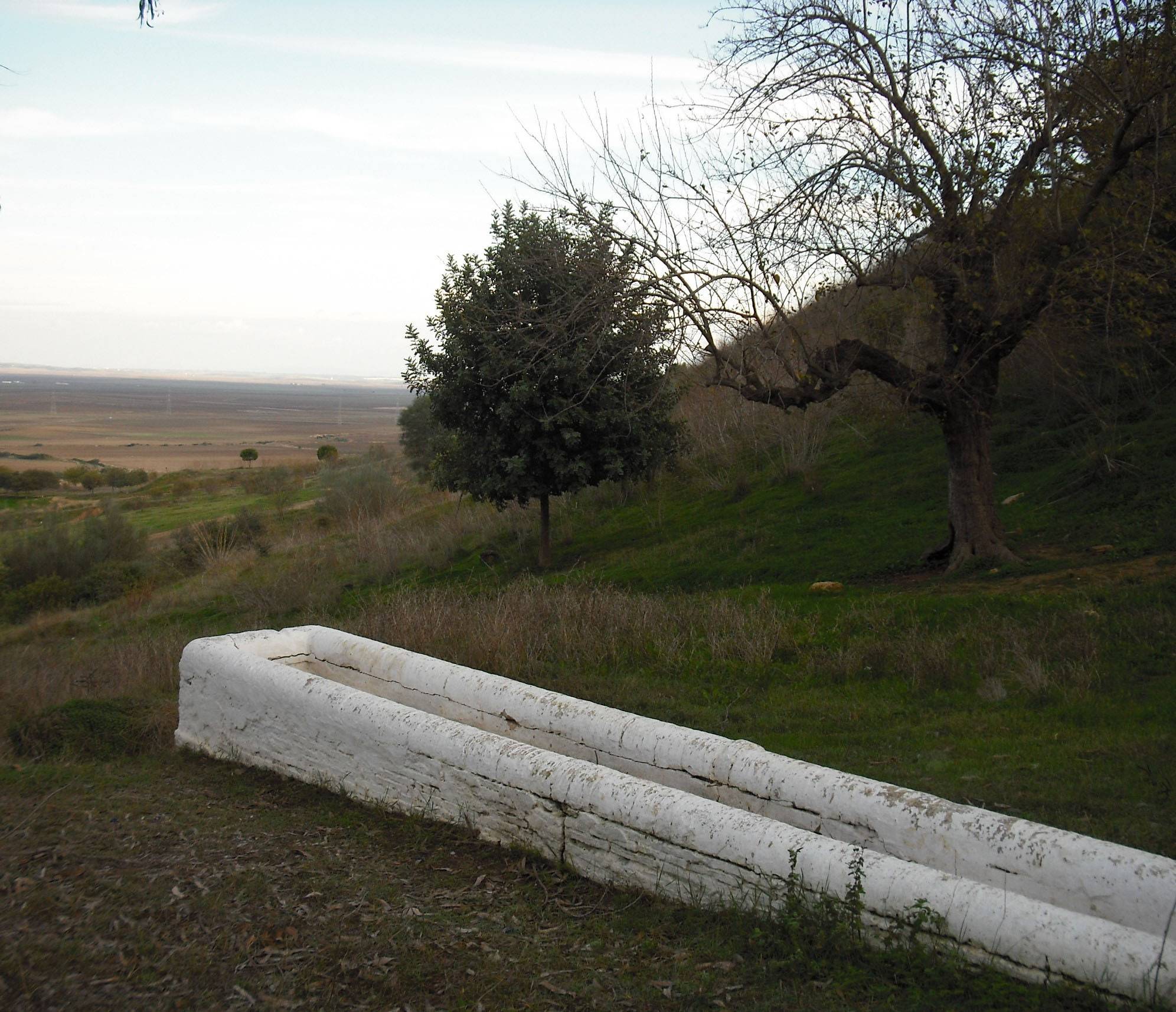 fuente del sol