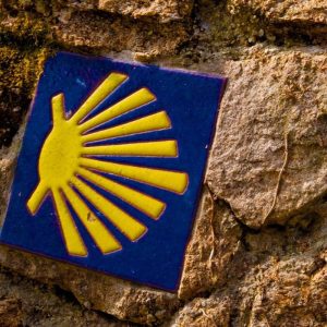 15.-Camino-de-Santiago-por-El-Viso-del-Alcor
